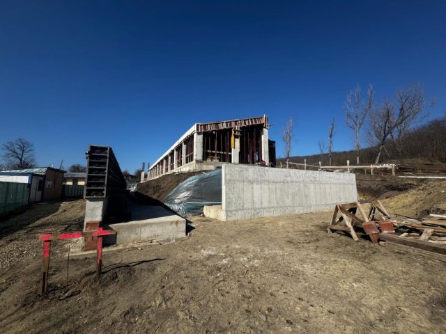 WhatsApp Image 2026-03-09 at 12.41.07 PM (3)